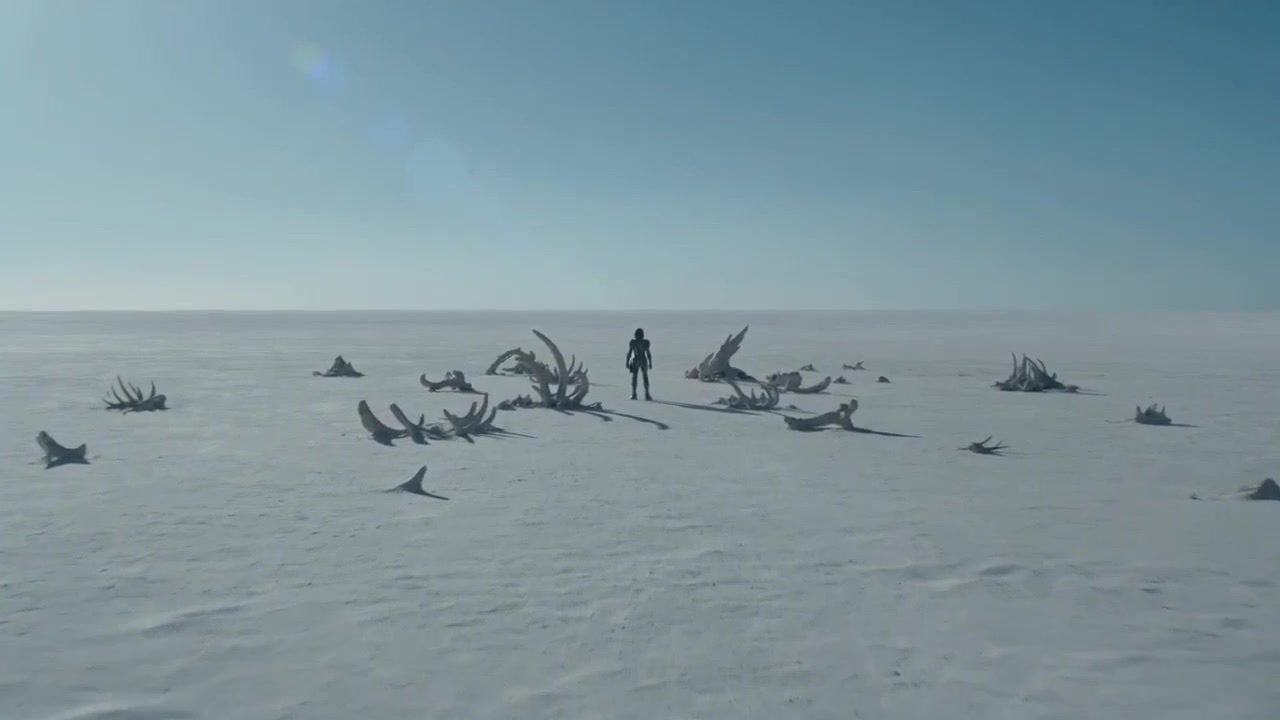 Wings of the Fallen